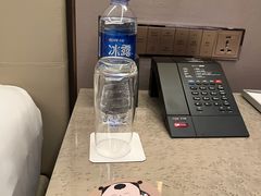 -无锡丽笙精选酒店