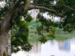 -白鹭洲公园