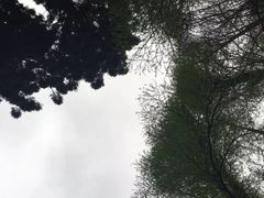 -华南国家植物园-售票处