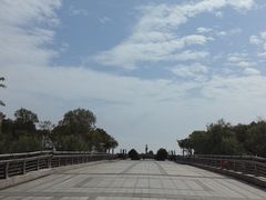 -江滩湿地公园
