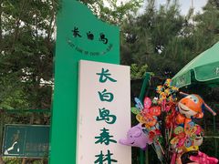 门面-长白岛森林公园