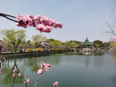 -无锡蠡湖国家湿地公园-蠡园