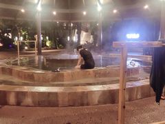 -厦门日月谷温泉渡假村