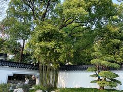 -堤角公园