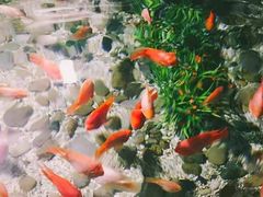 -福州罗源湾海洋世界旅游区