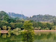 -番禺大夫山森林公园