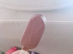 -盛华冷饮雪糕批发部