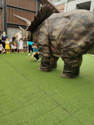 -恐龙探索乐园(磁器口店)