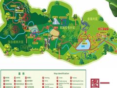 -西双版纳原始森林公园