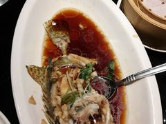 -丰收日(五角场店)