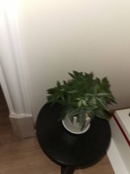 -JustHer宁波珈禾医疗美容医院