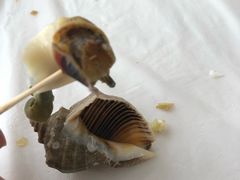 -渔民船说·北塘海鲜·天津菜·海肠捞饭(北塘古镇店)