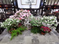 -惠山古镇·寄畅园