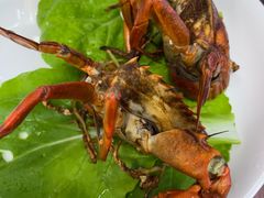 -聪辉同安老美食饭店(大元路店)