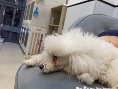 -萌兽医馆·眼科·异宠专科(三里屯店)
