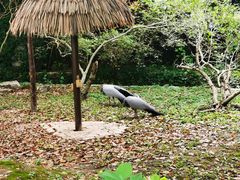 -上海野生动物园