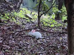 -珞珈山-售票处