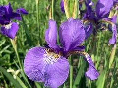 -西山漾湿地公园