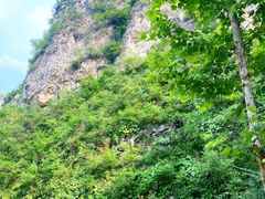 -幽岚山·童话森林