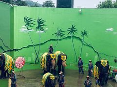 -大连森林动物园