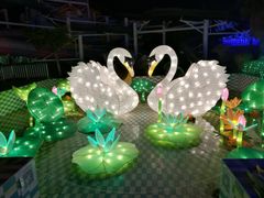 灯展-巨鹏飞梦幻海岸