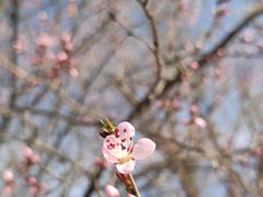 -回龙观体育文化公园