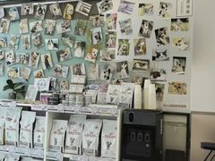 -爱妮康宠物医院·干细胞免疫细胞·肿瘤·心脏(张江店)