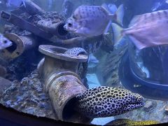 -成都浩海立方海洋公园