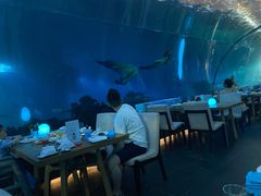 -海棠湾洲际-涛·海底餐厅·美人鱼·自助餐·海底隧道