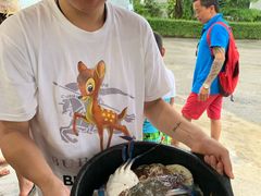 -拉威海鲜市场