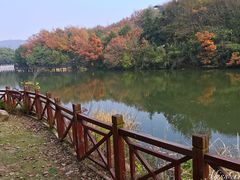 -白马涧龙池景区