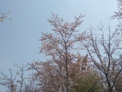 -自然谷恐龙园