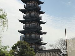 -嘉定紫藤园