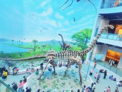 -辽宁古生物博物馆