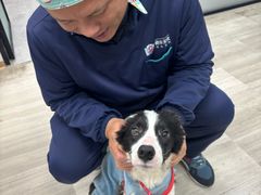 -良伴无忧宠物医院(泰欣嘉园店)