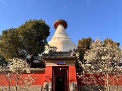-妙应寺白塔