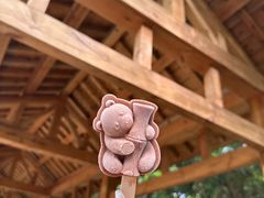 -成都大熊猫繁育研究基地