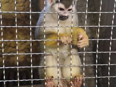 -成都浩海立方海洋公园