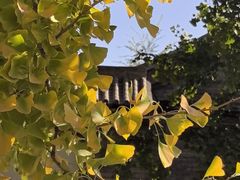 -三里河公园