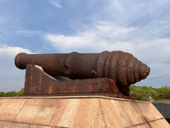 -上海吴淞炮台湾国家湿地公园