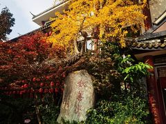 -钦善斋(武侯祠店)