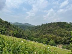 -红花湖景区