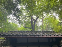 -成都杜甫草堂博物馆