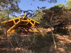 -聚龙山公园