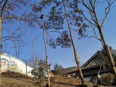 -中国大熊猫保护研究中心雅安碧峰峡基地