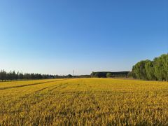 -嘉北郊野公园