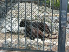 -大连森林动物园