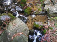 -藏龙百瀑风景区