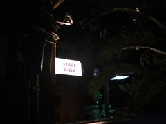 -STAFF ONLY Bar(南台巷店)