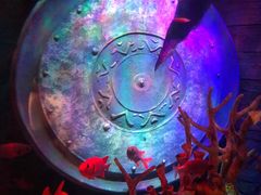 -沈阳海洋探索中心